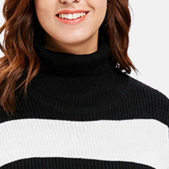 Plus Size Black & White Striped Turtleneck Sweater - Picture 5 of 7